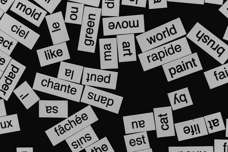 Word magnets in French and English scattered on a black surface